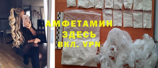 сатива Богданович