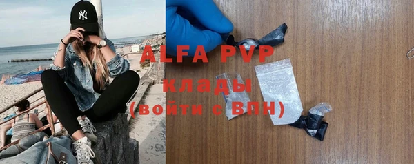 сатива Богданович